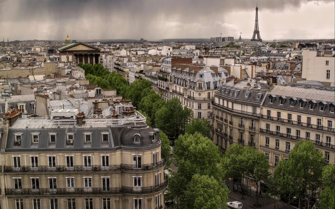 Un silure de 2m17 pêché dans la Seine : Paris lance son programme de métro fluvial