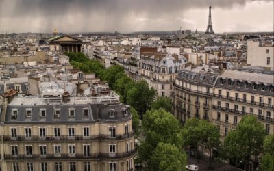 Un silure de 2m17 pêché dans la Seine : Paris lance son programme de métro fluvial
