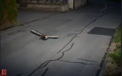 Köniz : un canard flashé à 52 km/h, la Suisse en émoi