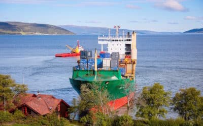 Cargo échoué dans un jardin en Norvège : l’invasion maritime