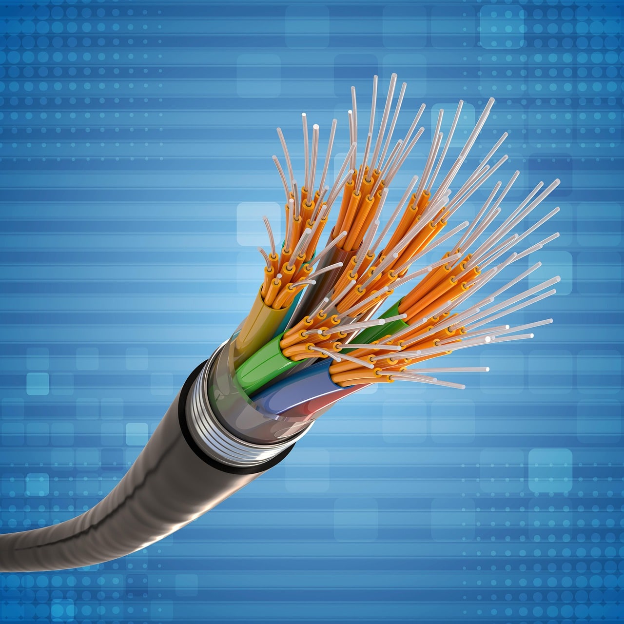 glass fiber, network, internet, connection, cable, data, data transfer, digitization, technology, flexible