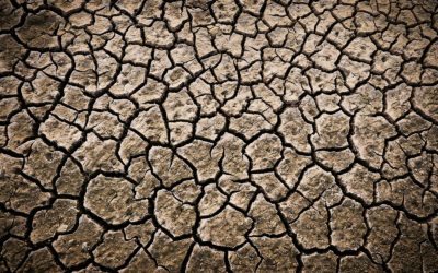 Chaleur extrême au Québec : ressenti jusqu’à 43 °C