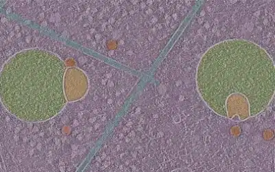 Organite inconnu découvert dans nos cellules : bienvenue au « hemifusome », l’usine fantôme