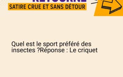 Insectes sportifs
